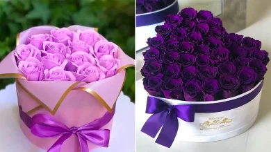 باکس گل بنفش خاص