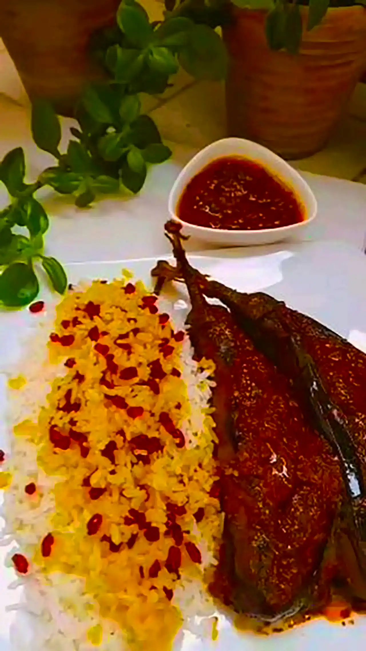 دیزاین بادمجان شکم پر