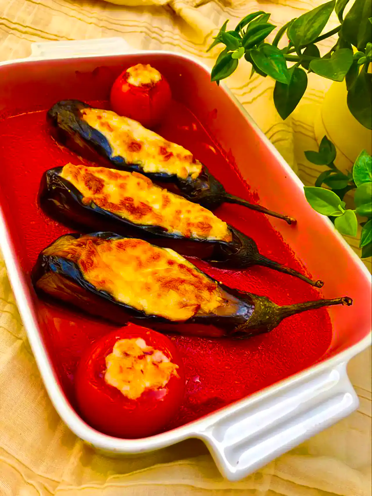 دیزاین بادمجان شکم پر