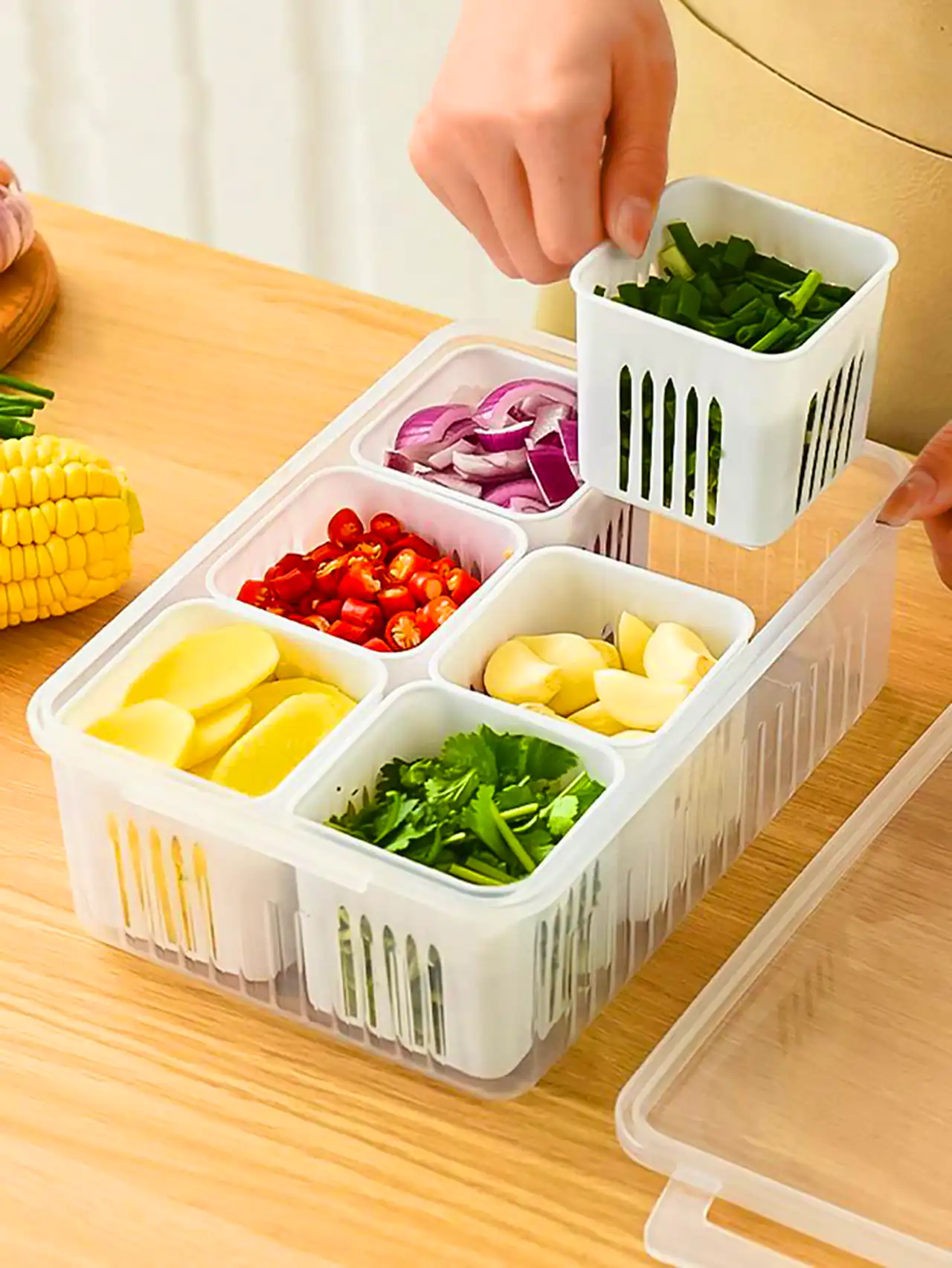 ظروف نظم دهنده یخچال