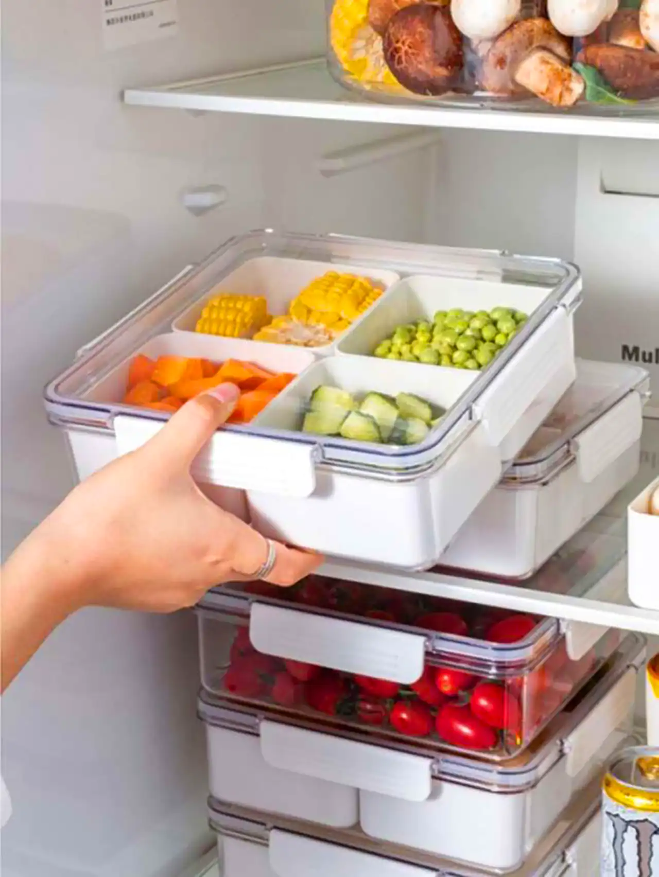 ظروف نظم دهنده یخچال