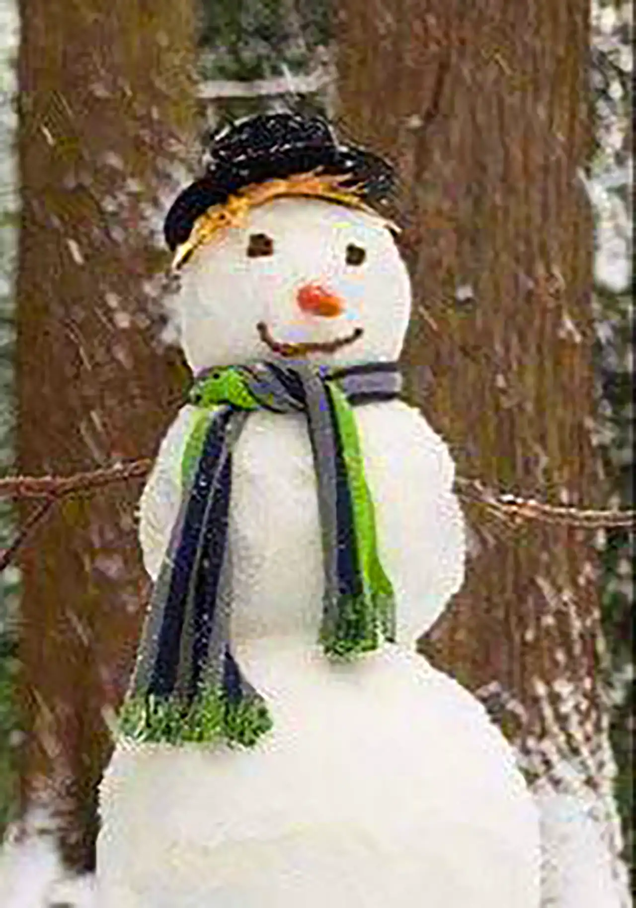 آدم برفی کیوت