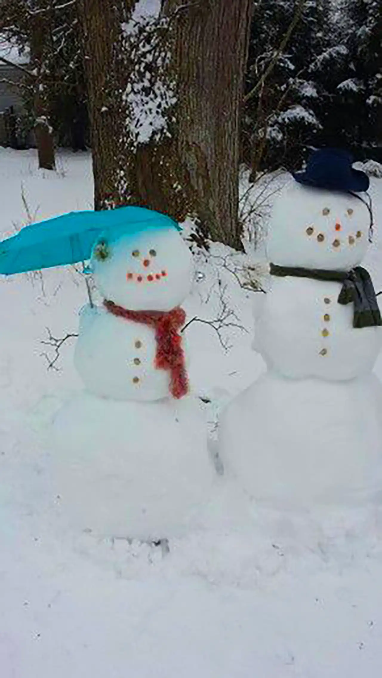 آدم برفی کیوت