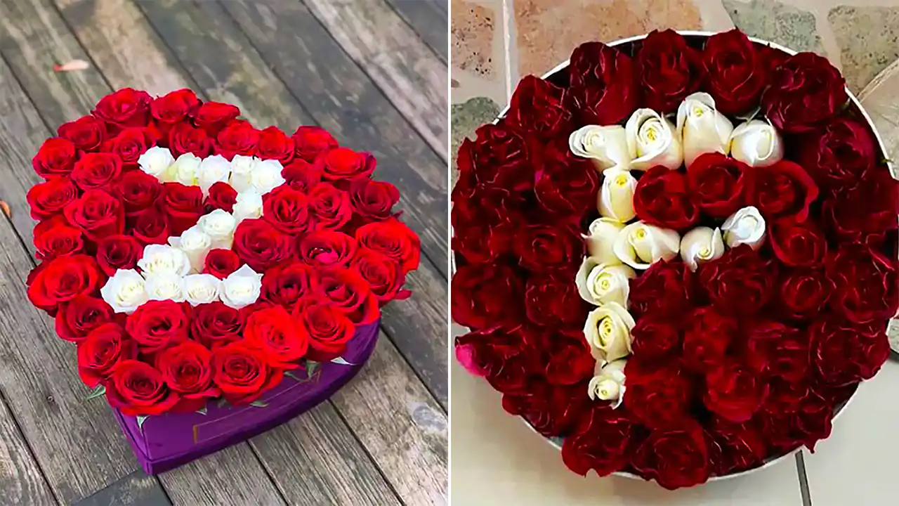 باکس گل رز شیک