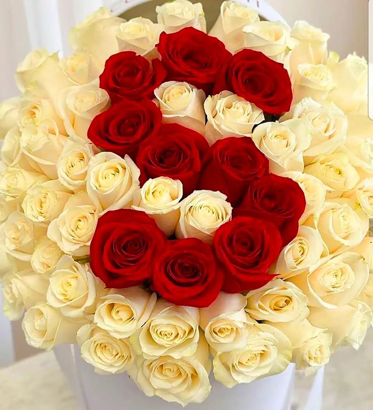 باکس گل رز شیک