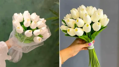 دسته گل لاله سفید عروس