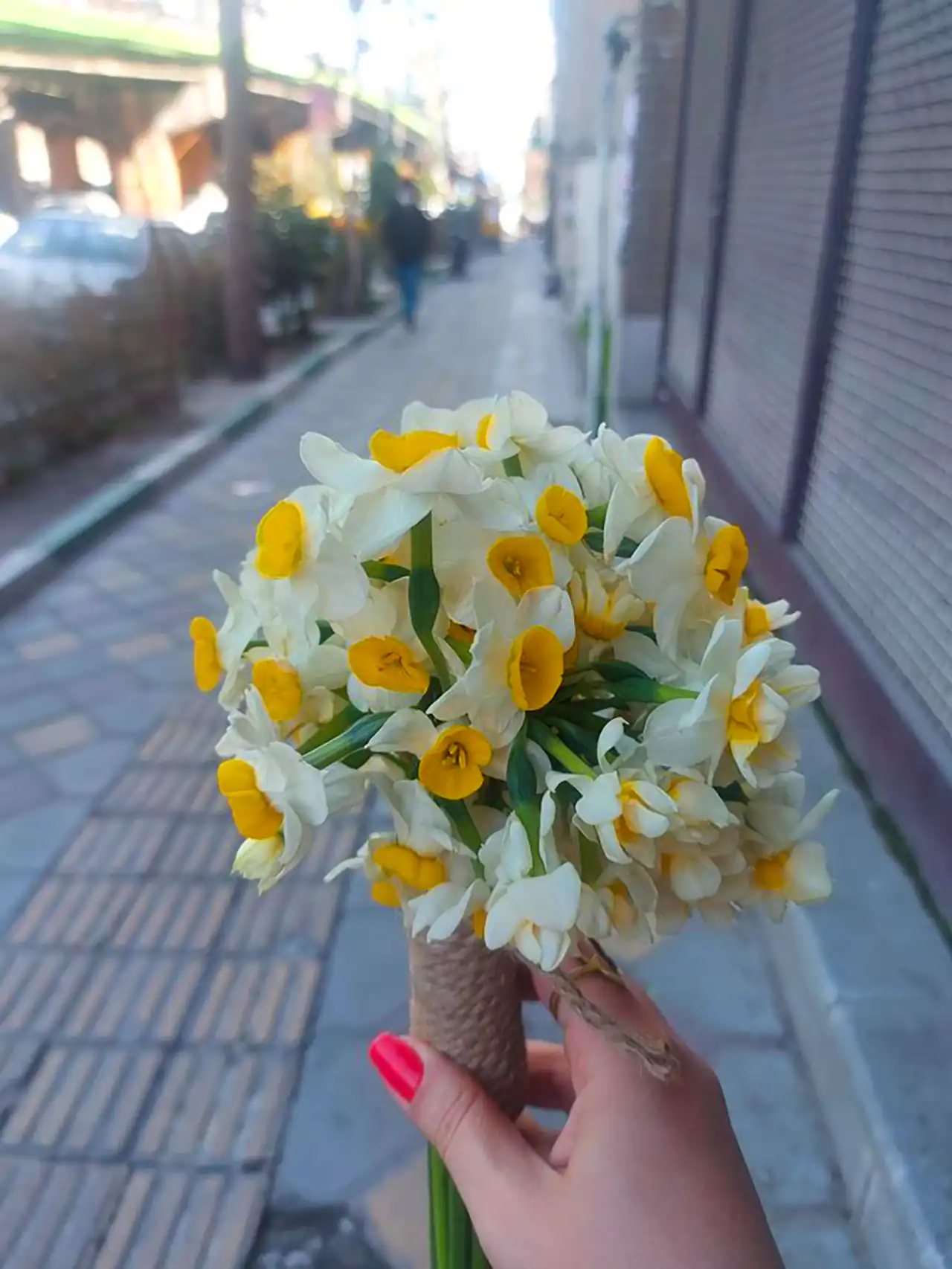 دسته گل نرگس زیبا