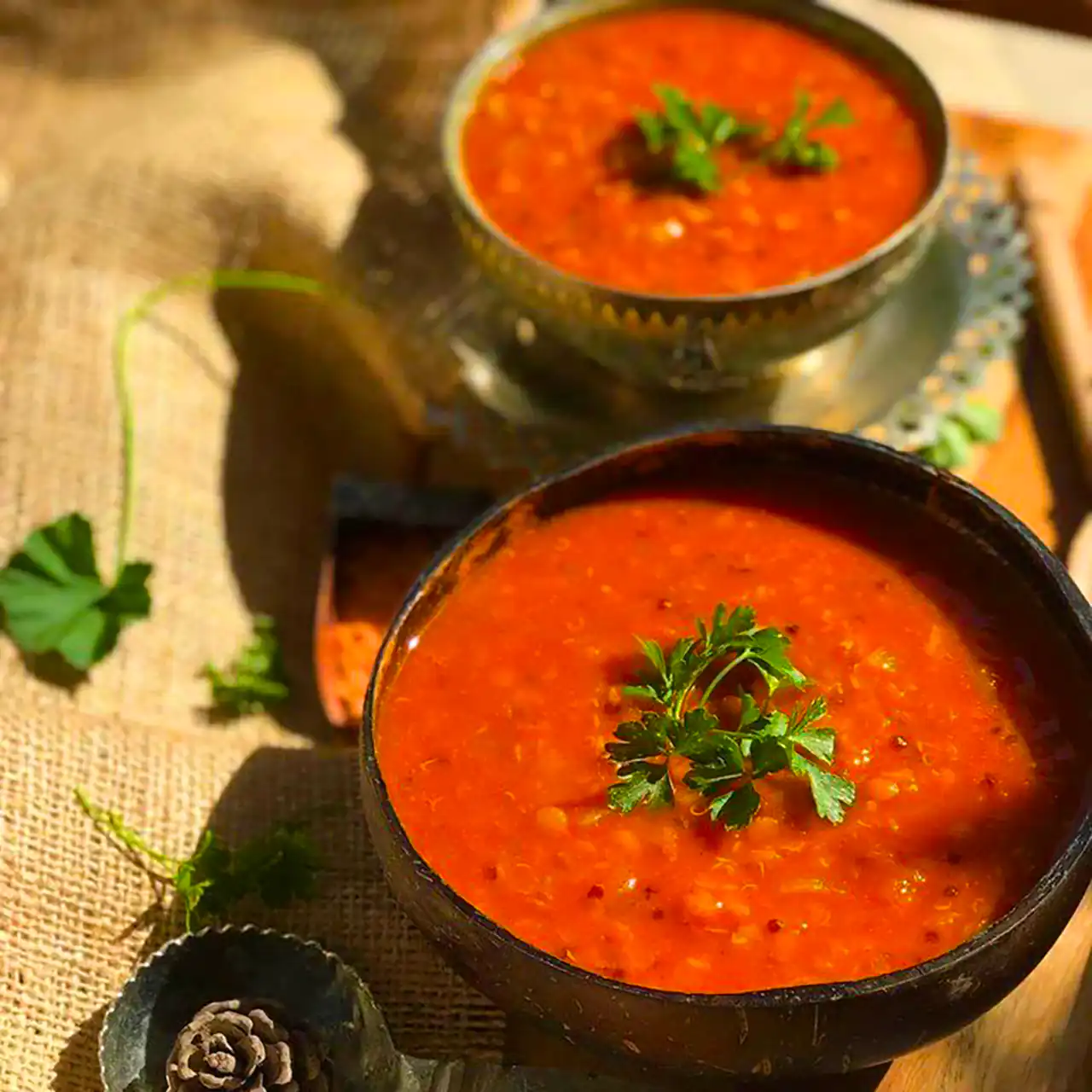 کاسه سوپ رستورانی