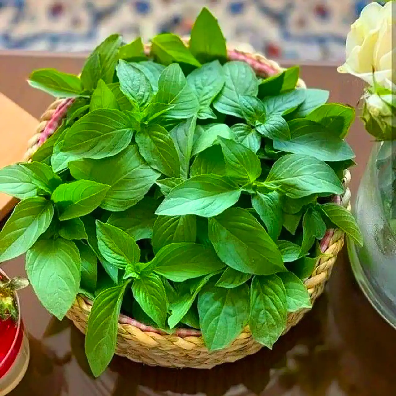 تزئین سبزی خوردن