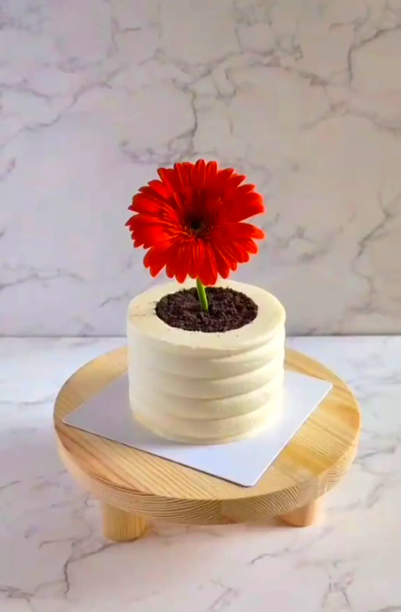 کیک تولد جدید