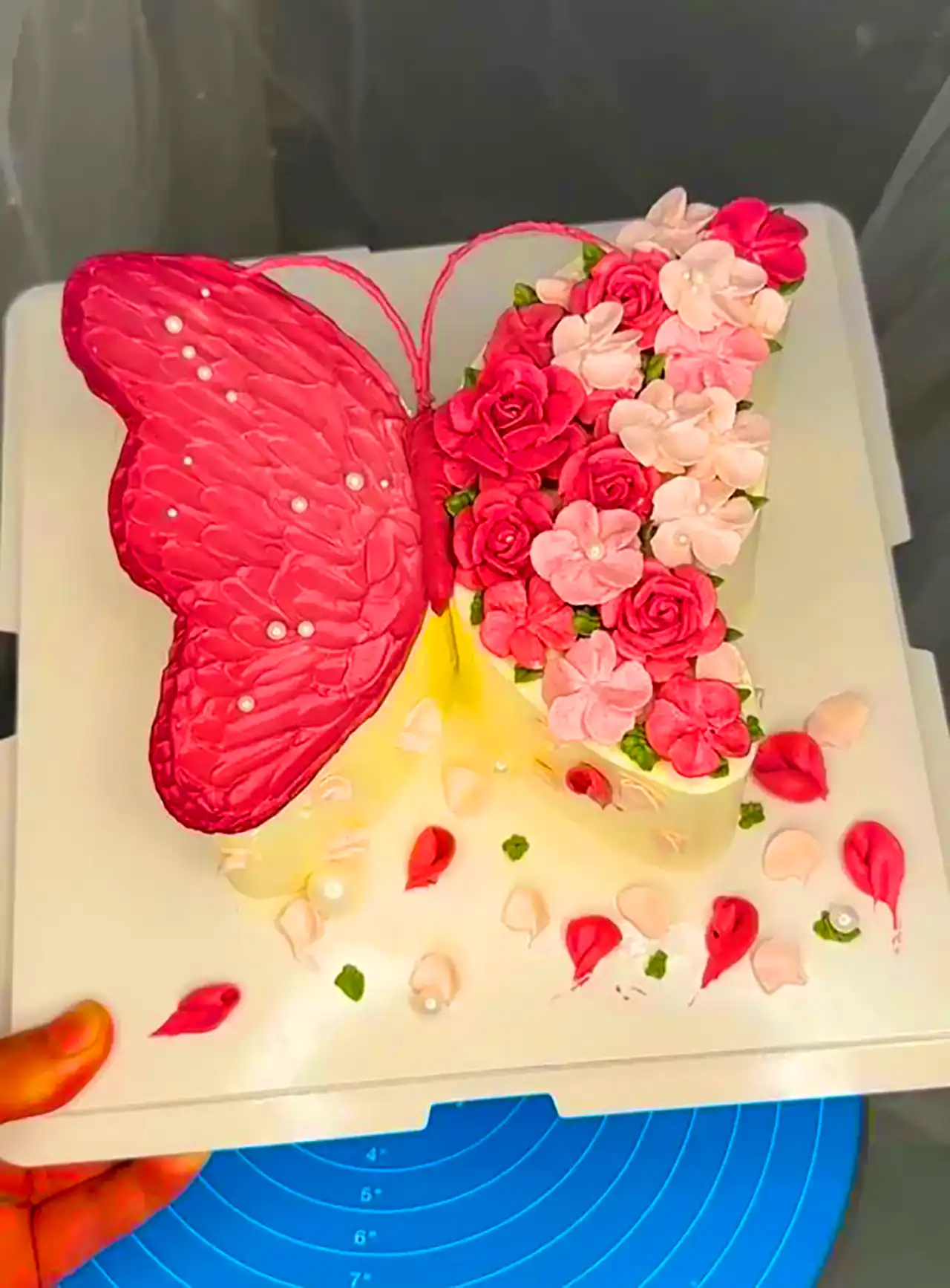 کیک تولد پروانه ای زیبا