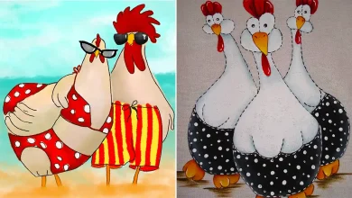 نقاشی بامزه مرغ